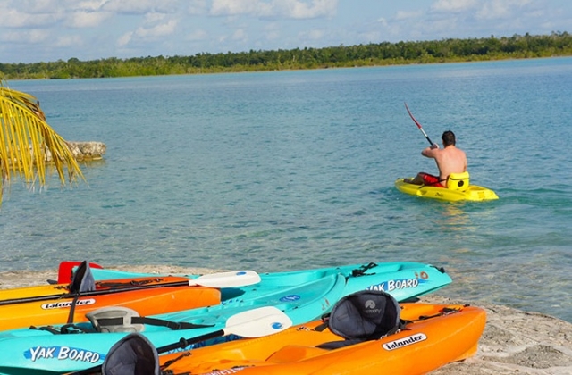 Visitas guiadas dirigidos